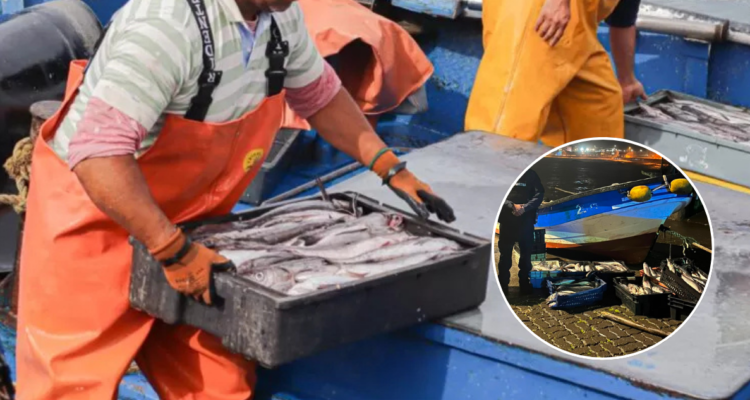 Tras robo de más de 3 toneladas de jurel, Pescadores industriales del Bío Bío presentan 2 querellas