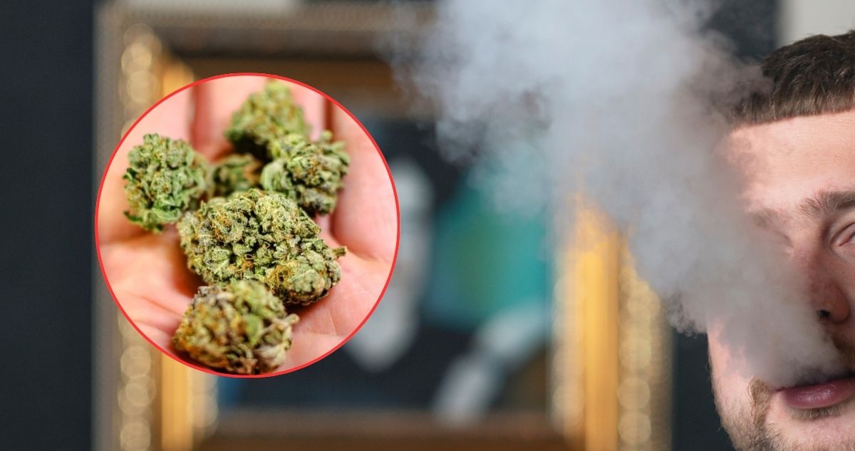 Marihuana en Chile: Entre el uso habitual, potenciales beneficios y señales de una posible adicción