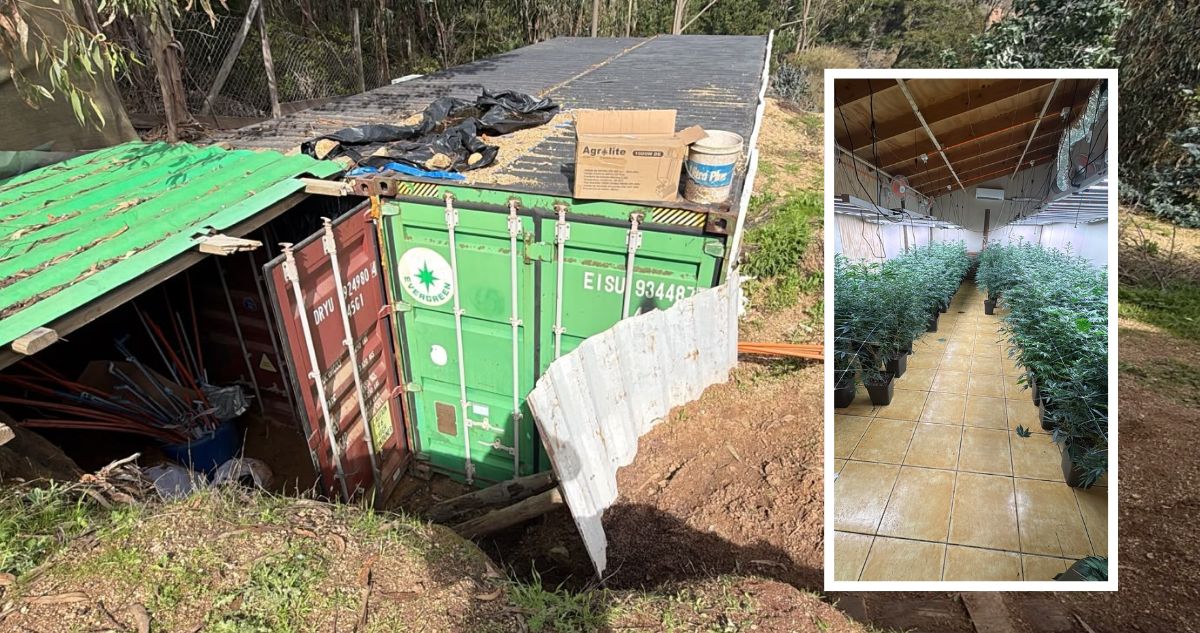 Operación Imperio de Ámsterdam: Hallan container enterrado con gran cantidad de marihuana en El Quisco