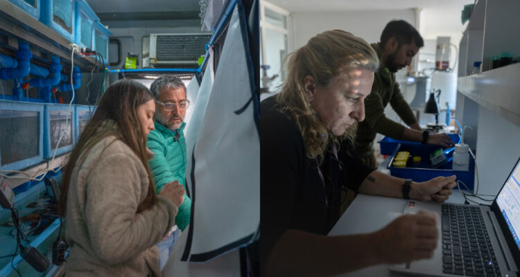 Chilenos estudian impacto de contaminación lumínica en la Antártica con inédito sistema experimental