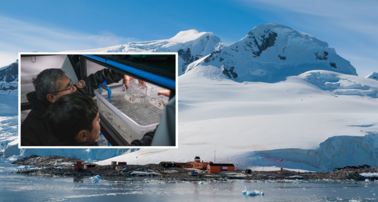 https://media.biobiochile.cl/wp-content/uploads/2026/08/contaminacion-luminica-antartica-750x400.png