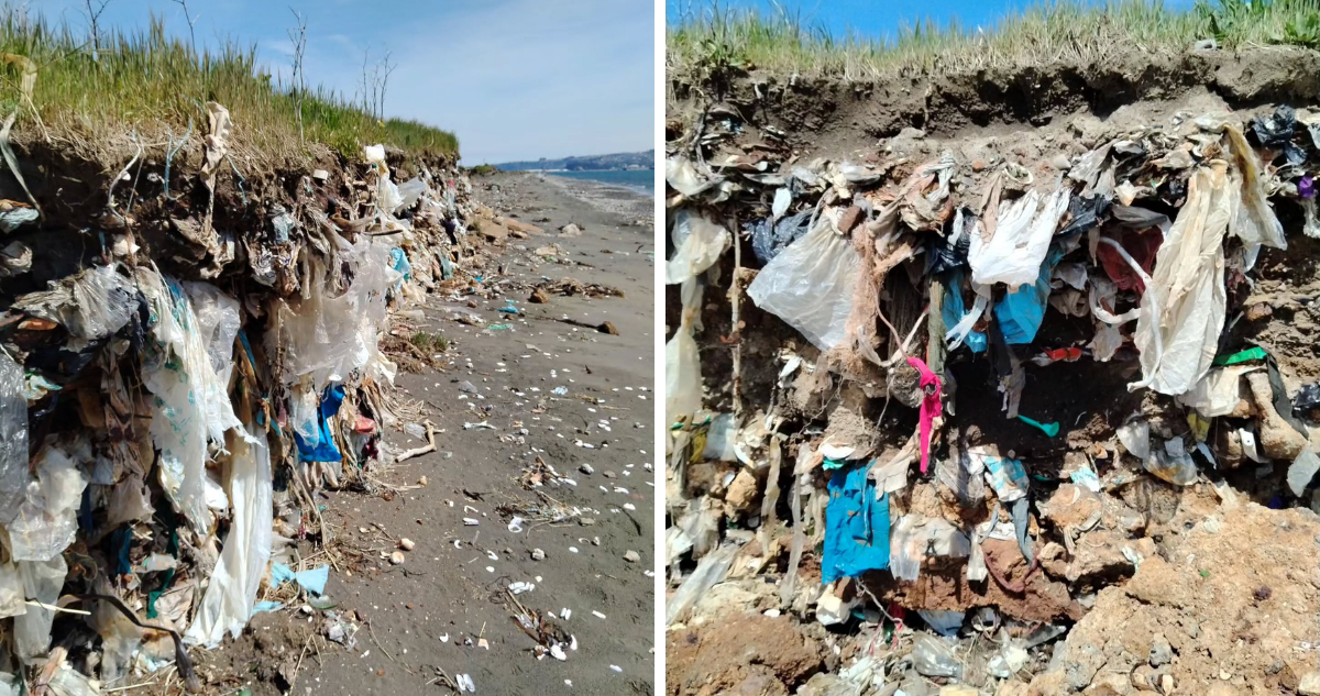 Residuos hospitalarios y basura estarían contaminando playa Isla de los Reyes Rocuant en Talcahuano
