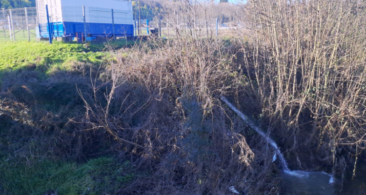 Agrupación denuncia nueva contaminación por aguas servidas en el río Damas en Osorno