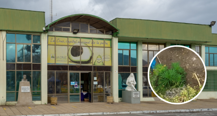 Contraloría oficia a municipio de La Cruz tras filtrarse audio de alcaldesa por terreno con marihuana