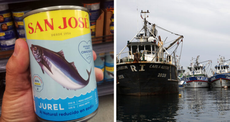 Tras crisis de captura del jurel: Gobierno emite resolución para dar flexibilidad a la pesca