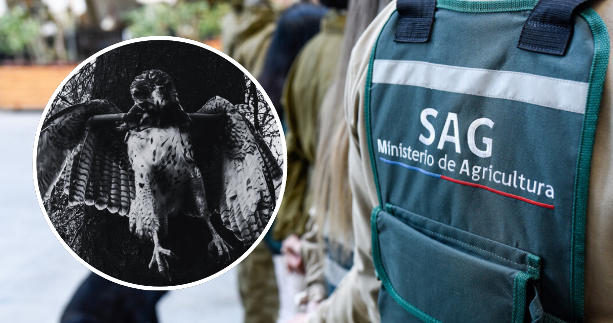 Defendamos Patagonia | AgenciaUno