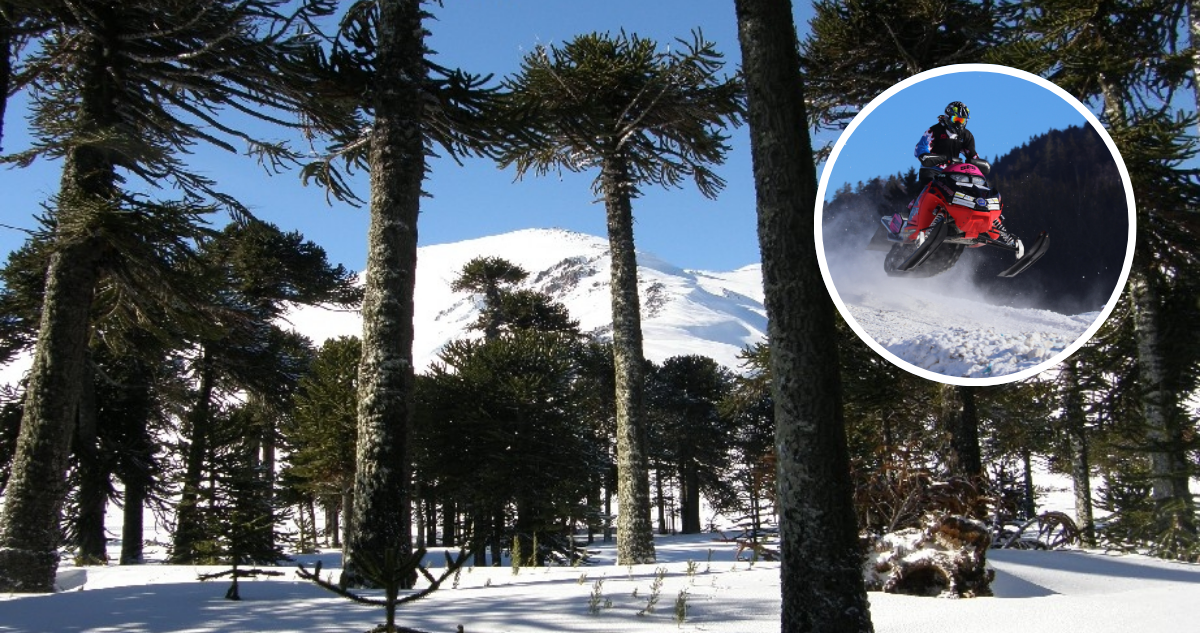 Denuncian ingreso ilegal de motos de nieve a Reserva Nacional Malalcahuello: ofrecían tours turísticos