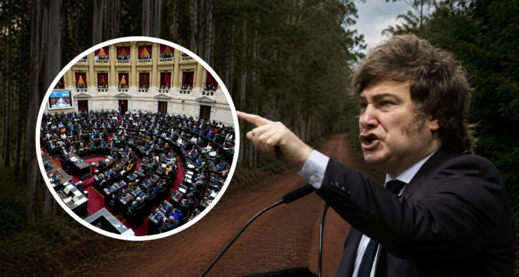 Arauco controla 80% de hectáreas extranjerizadas en Misiones y marca debate por tierras en Argentina