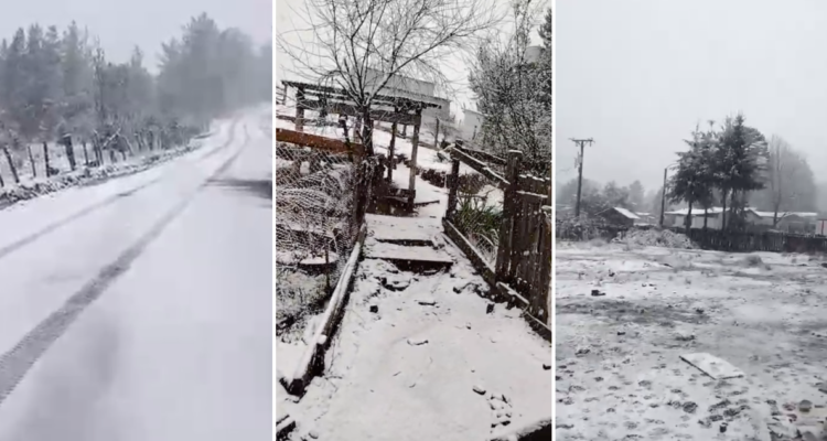 Reportan caída de nieve en sectores rurales de Carahue: fenómeno llegó a la cordillera de la Costa