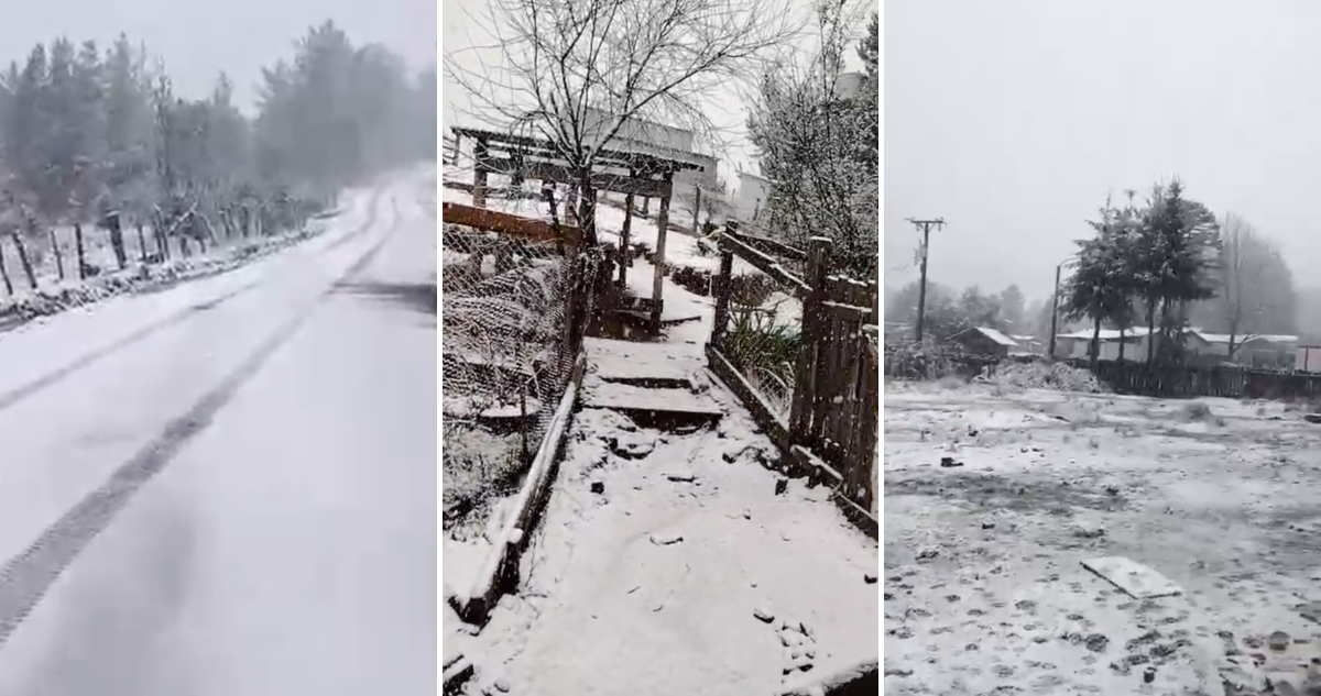 Reportan caída de nieve en sectores rurales de Carahue: fenómeno llegó a la cordillera de la Costa