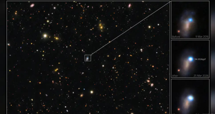 Astrónomos captan muerte de estrella gigante y detectan hecho inédito: no emitió brotes de rayos gamma