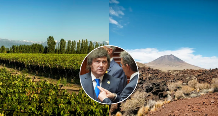 Gobierno de Milei da un paso atrás y retira capítulo sobre venta de tierras argentinas a privados
