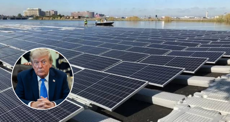 Trump impone arancel del 15% a polisilicio, clave para fabricar paneles solares y semiconductores