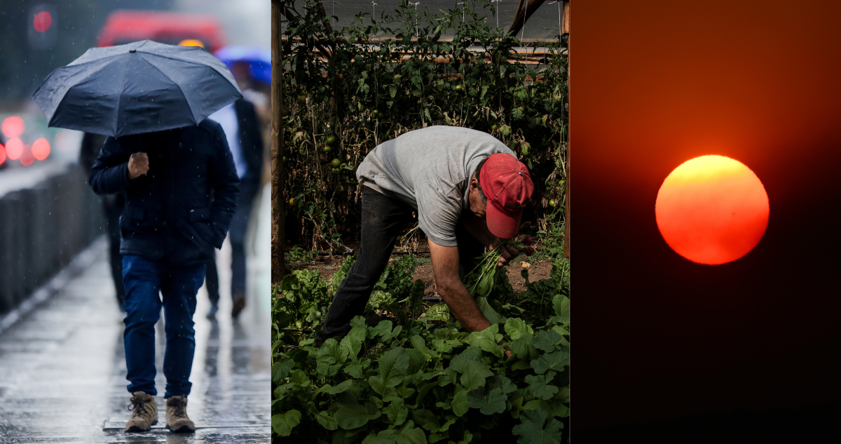 Experto adelanta lo que se espera para primavera y verano con El Niño: afectaría a la agricultura