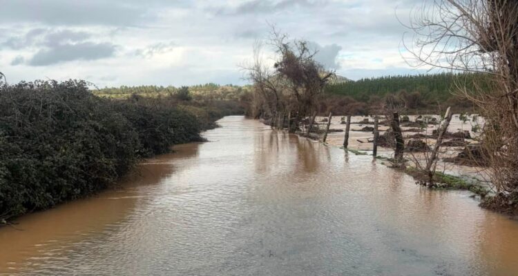 Emegencia agrícola en la región de Ñuble
