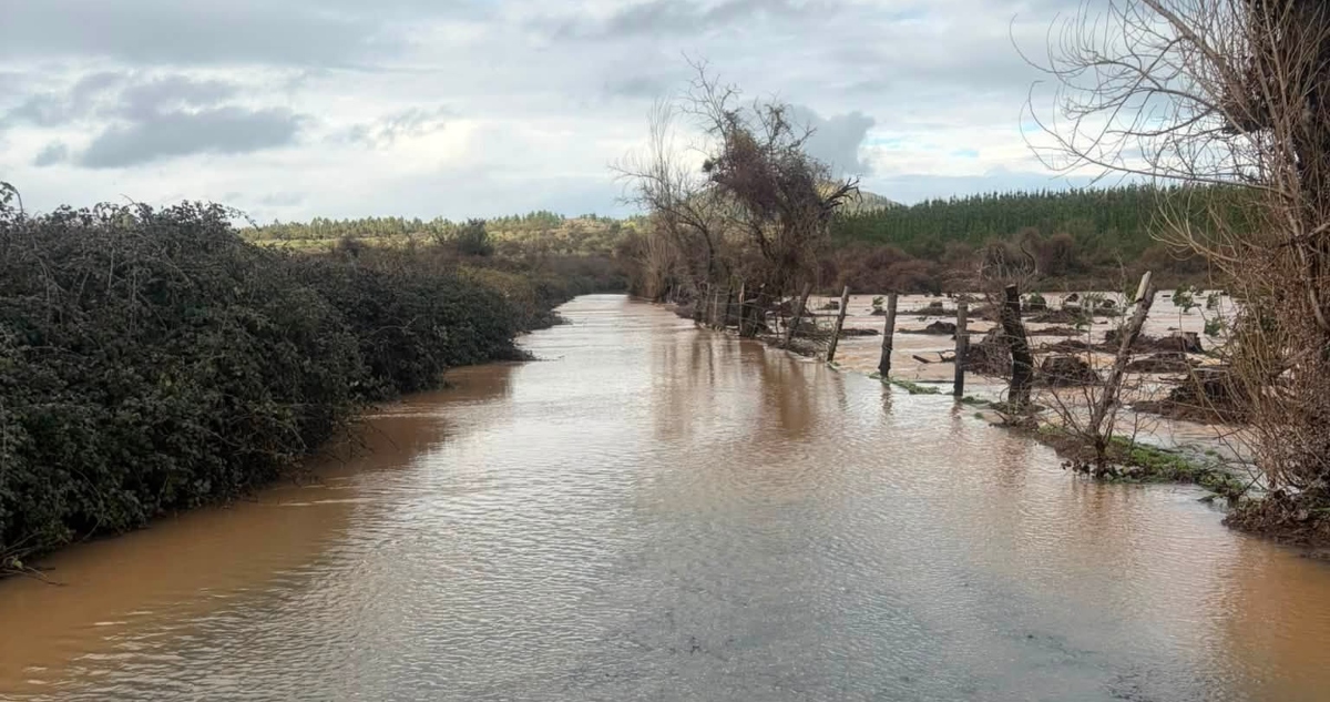 Emegencia agrícola en la región de Ñuble