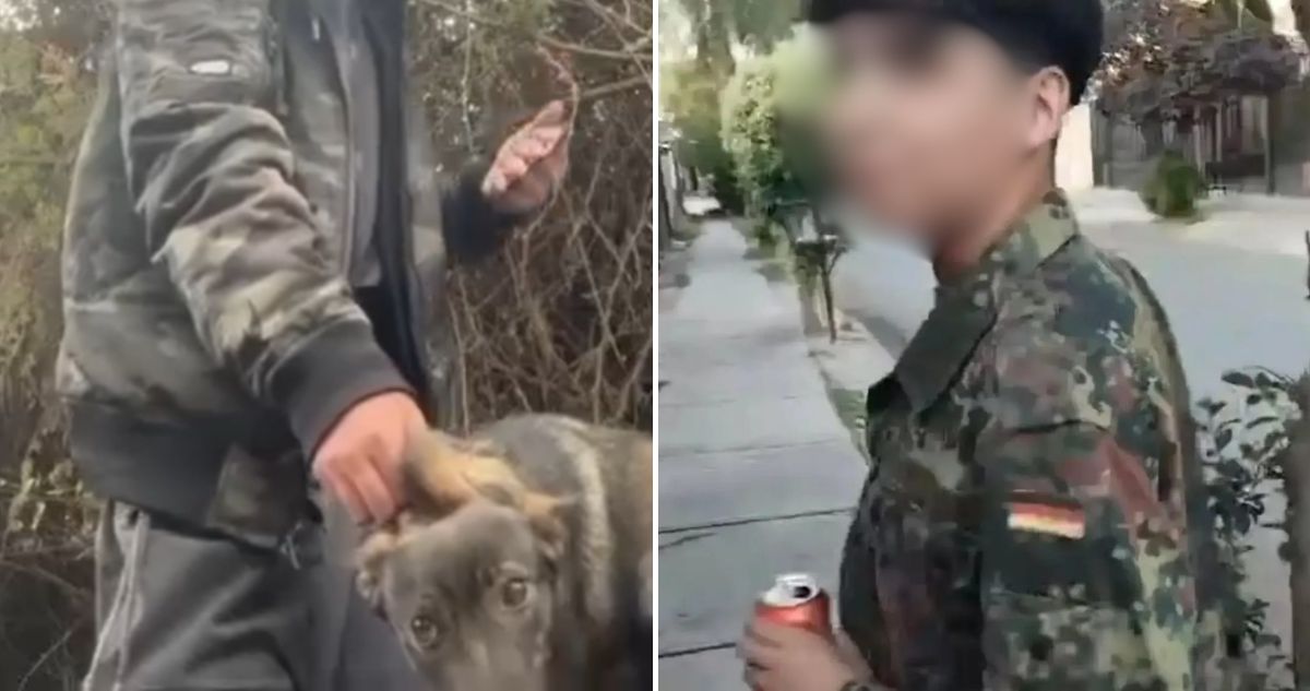 Estudiante de La Florida se viraliza por maltrato animal: municipio lo denunció y colegio lo expulsó