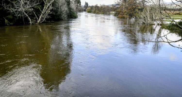 Evalúan emergencia agrícola en La Araucanía por sistema frontal: más de 4 mil agricultores afectados
