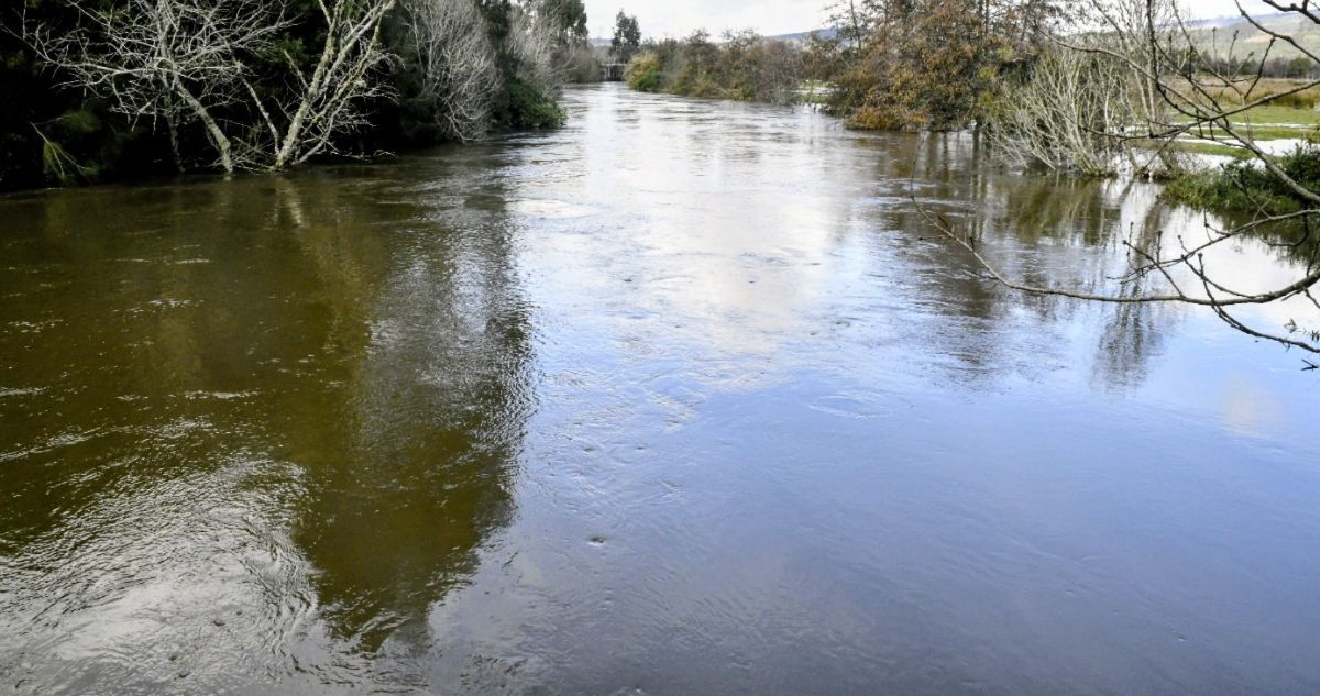 Evalúan emergencia agrícola en La Araucanía por sistema frontal: más de 4 mil agricultores afectados