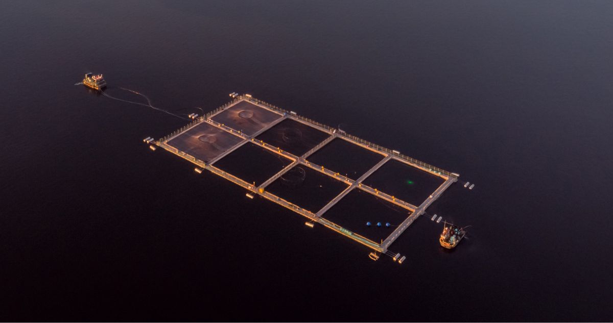 CORE de Los Ríos analizará proyecto de piscicultura en río San Pedro para emitir postura institucional