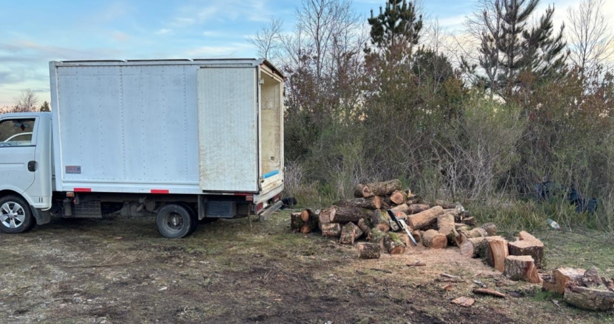 Detienen a hombre por robo de madera desde Santuario de la Naturaleza Llancahue de Valdivia