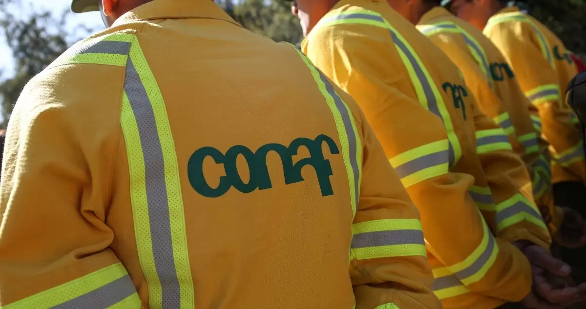 CONAF abre 536 cupos para brigadistas forestales en el Bío Bío de cara a temporada de incendios