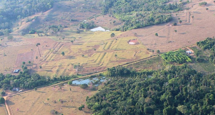 glifos en Amazonas
