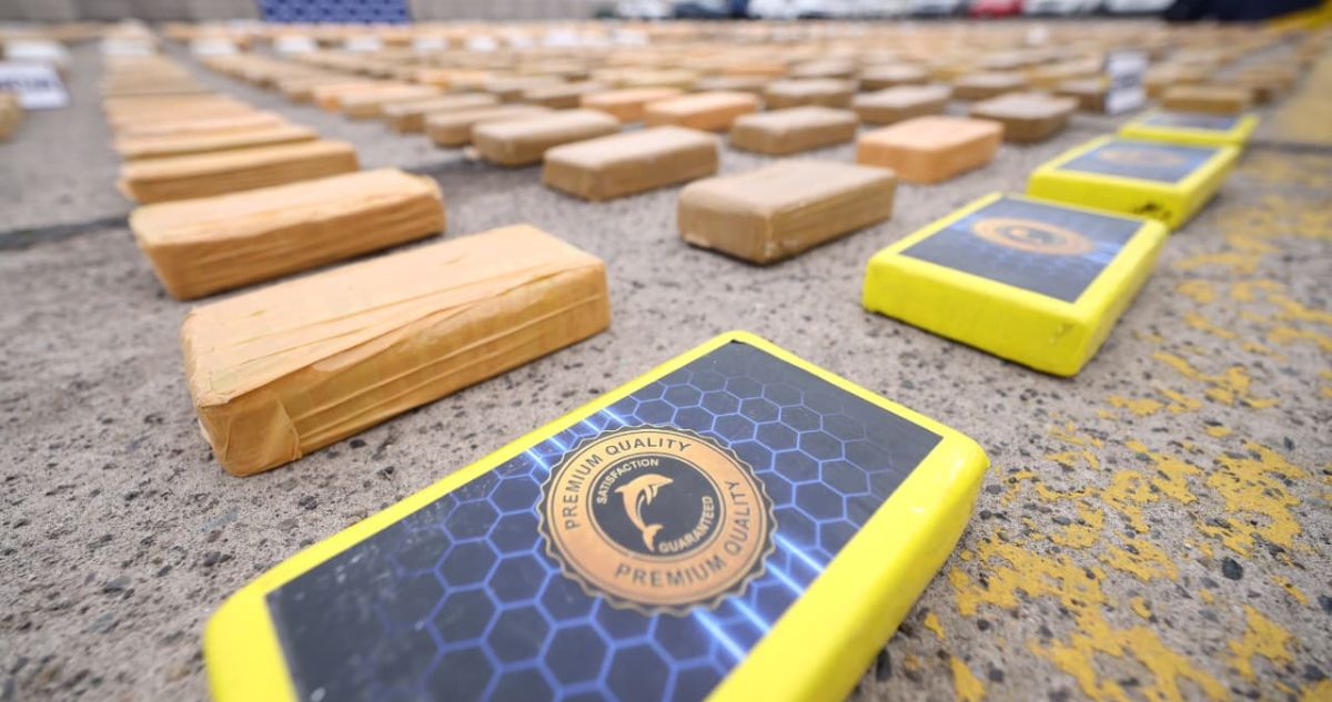 Incautan 1.480 kilos de droga en operativo contra bandas narco: suegro de Carlos Palacios fue detenido