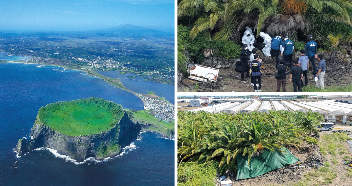 Isla Jeju en referencia a hallazgo de cadáveres