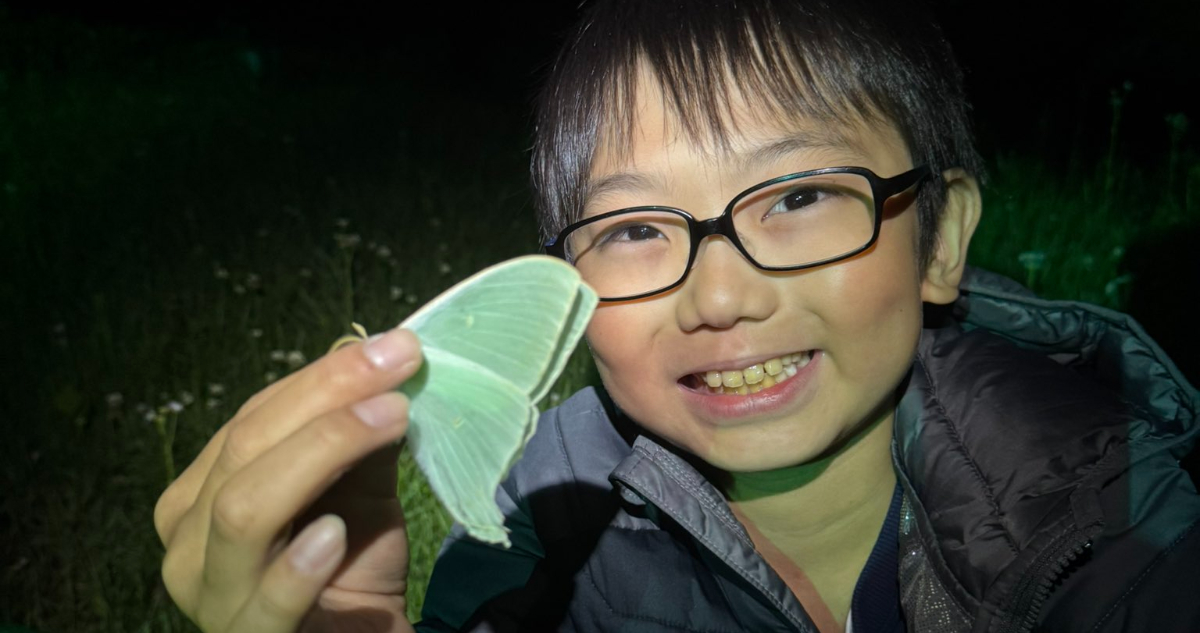 Foto de Jo Nagai, el niño que investiga mariposas
