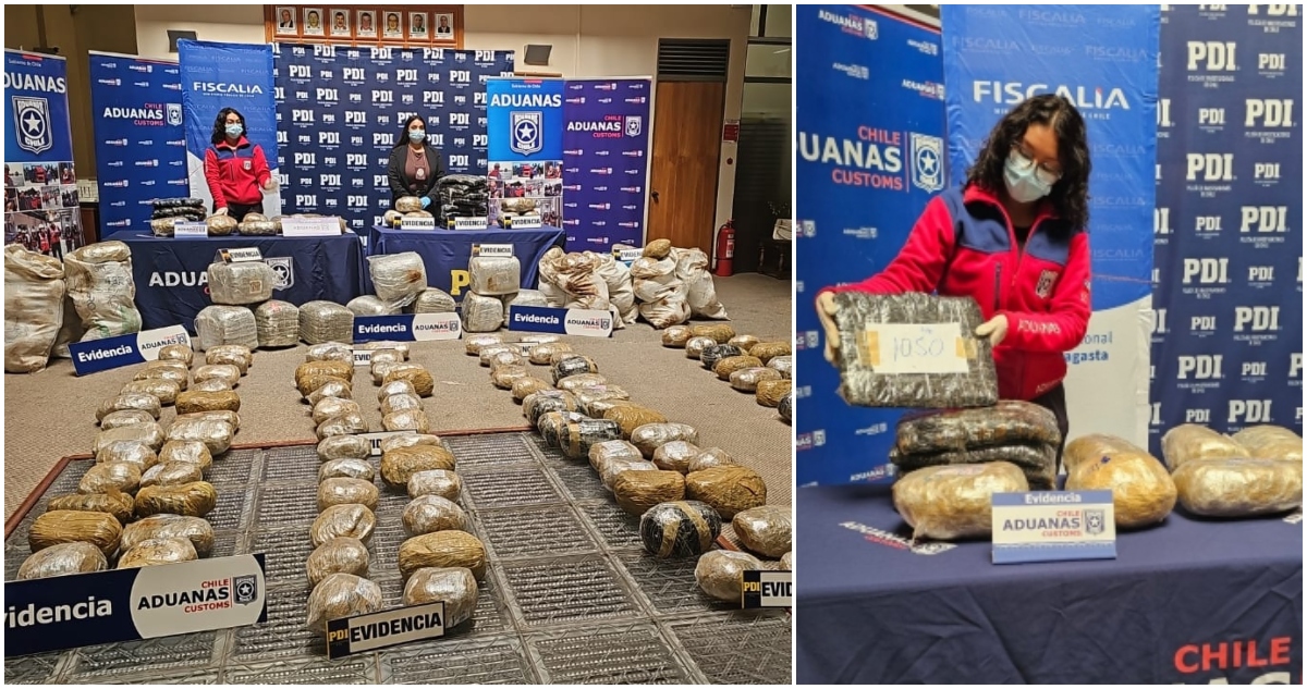 Marihuana oculta en camión cisterna en paso fronterizo Ollagüe