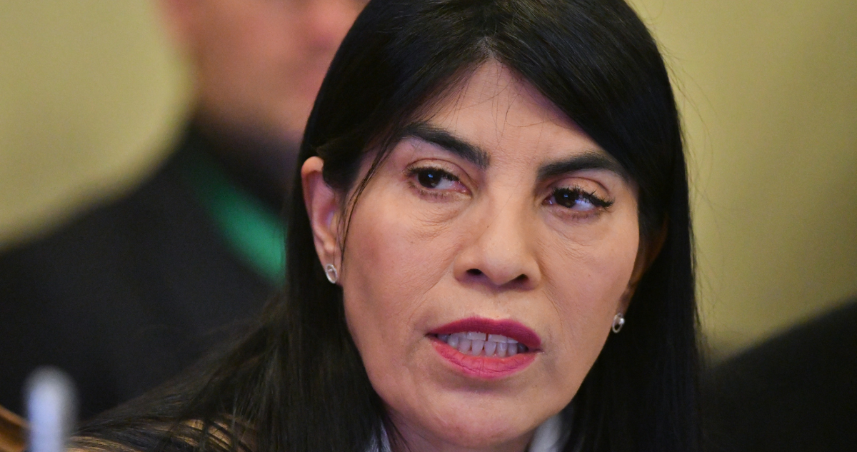 Ministra de Ciencia, Ximena Lincolao.