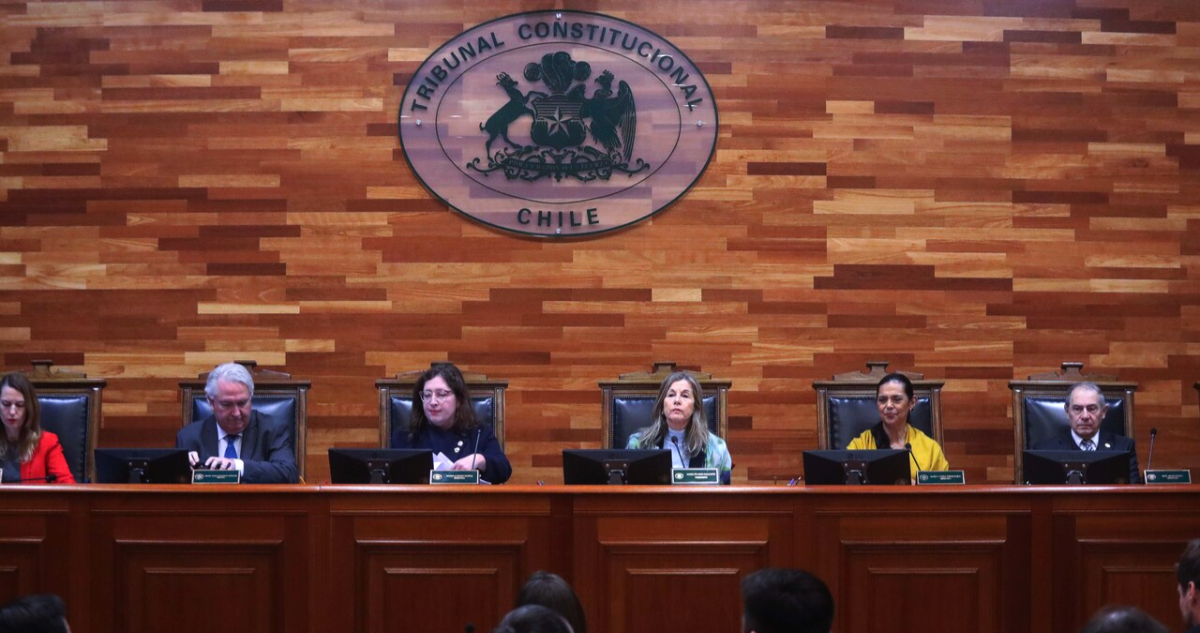 Legisladores de oposición celebran triunfo ambiental en el TC: "El gobierno perdió"