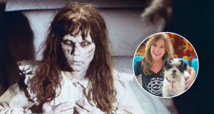 Linda Blair investigada por presunta crianza ilegal de perros