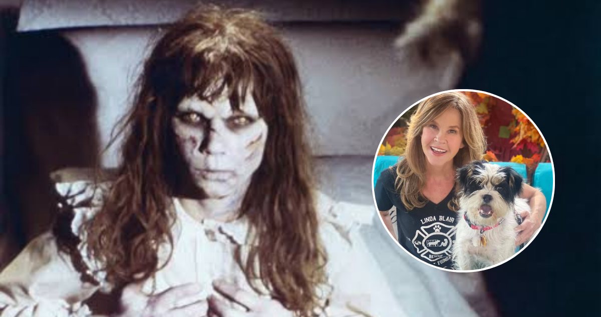 Linda Blair investigada por presunta crianza ilegal de perros