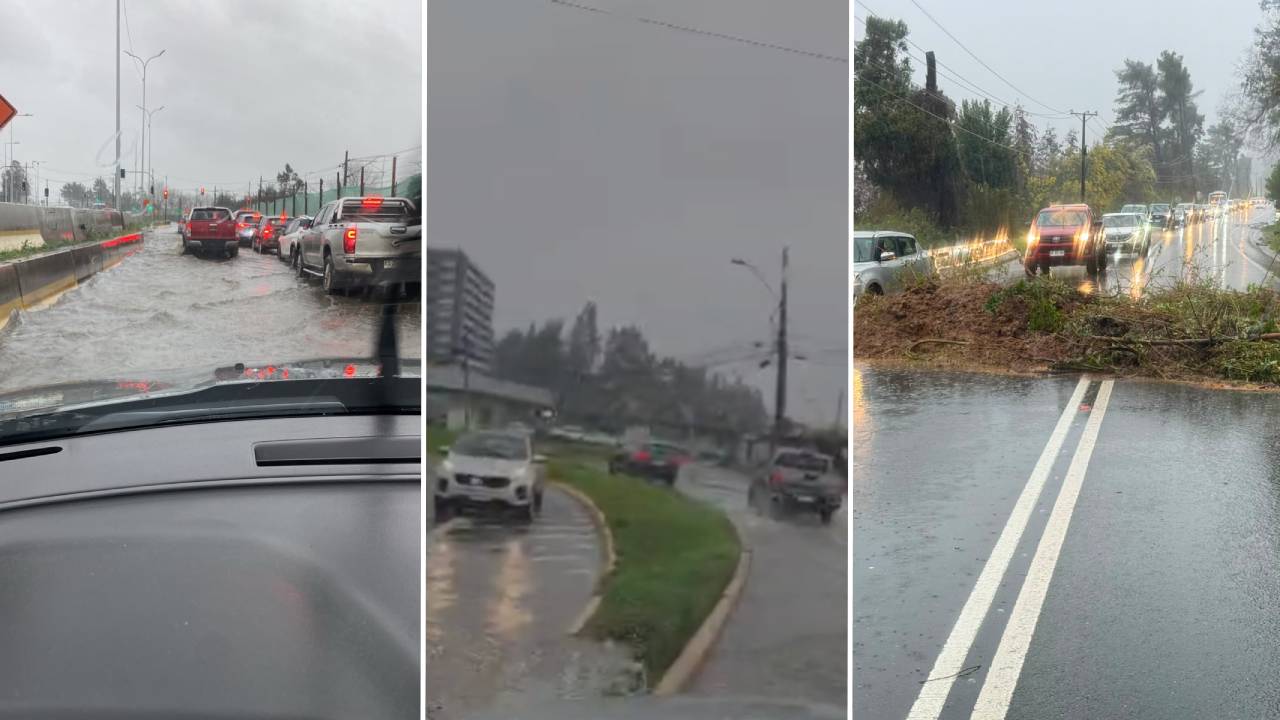 Captura de videos | Cedido a RBB Concepción