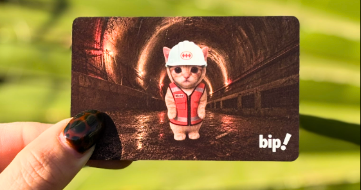 Michi Bip!