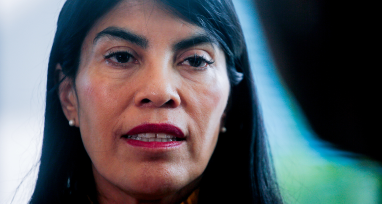 Ministra Lincolao admite que el Estado no ha medido el retorno de millonaria inversión en Becas Chile