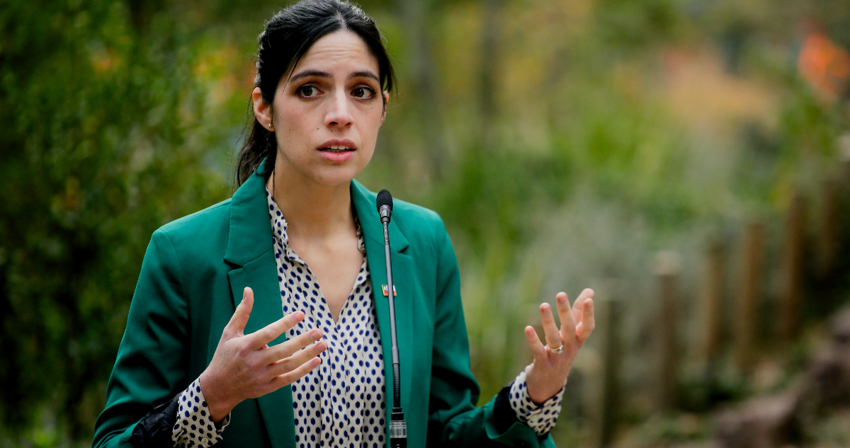 Ministra Toledo tras caída de indemnización por RCA en el TC: “La agenda del Gobierno no se altera”