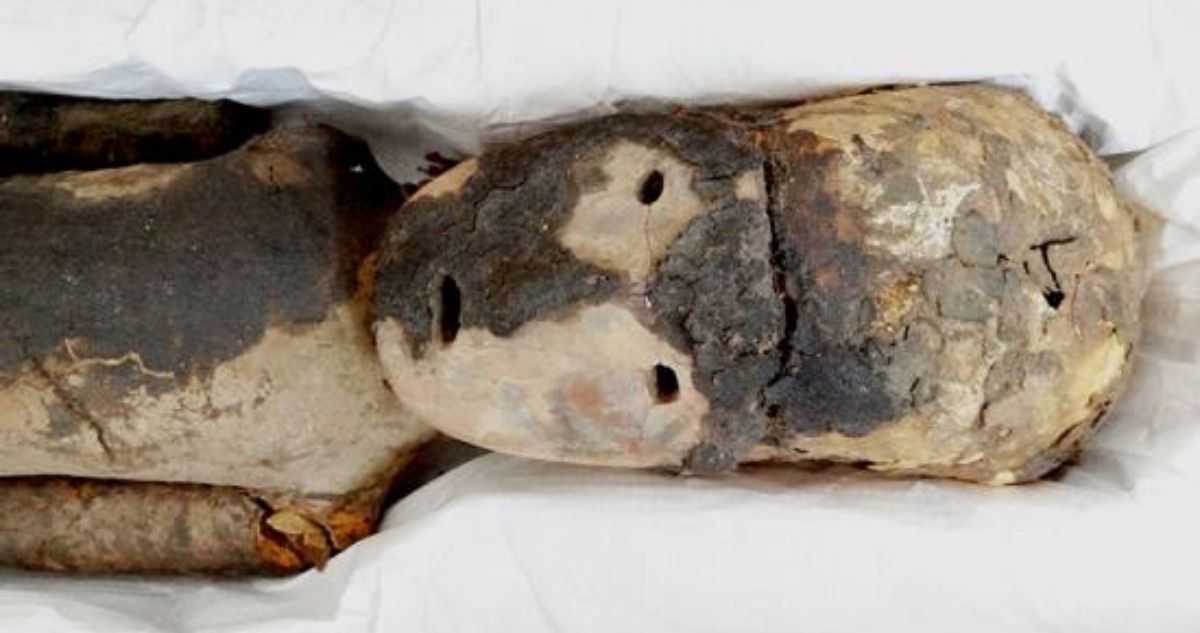 Foto de una momia chinchorro para ilustrar nota sobre la viruela en América