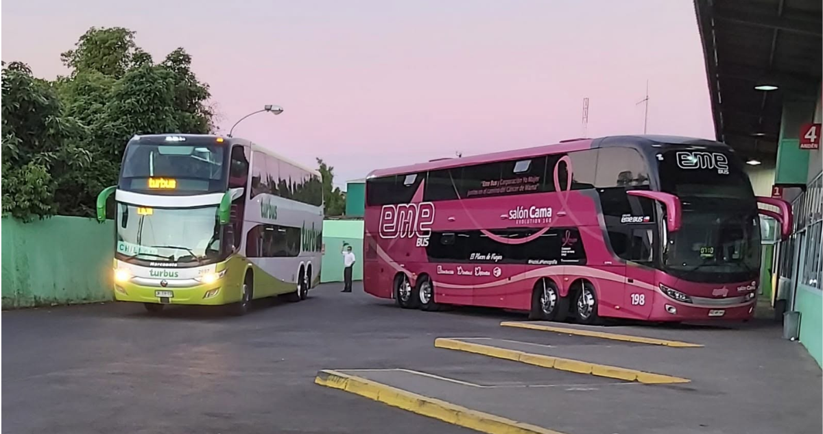 Mujer de 66 años muere tras ser atropellada por bus en terminal de Laja: frenos no habrían respondido