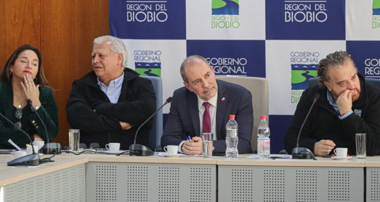 "Una metáfora": autoridades en Bío Bío cuestionan cambio de concesión a obra pública de corredores