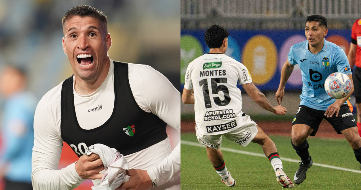 Palestino vs O’Higgins en fecha 20 de Liga de Primera.jpg
