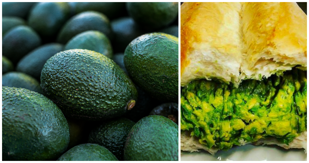 La producción de palta chilena proyecta que tendrá su mejor temporada en 17 años