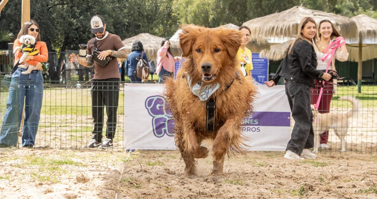 Parque de diversiones 100% para perros prepara segunda edición en Las Condes: cómo conseguir tickets