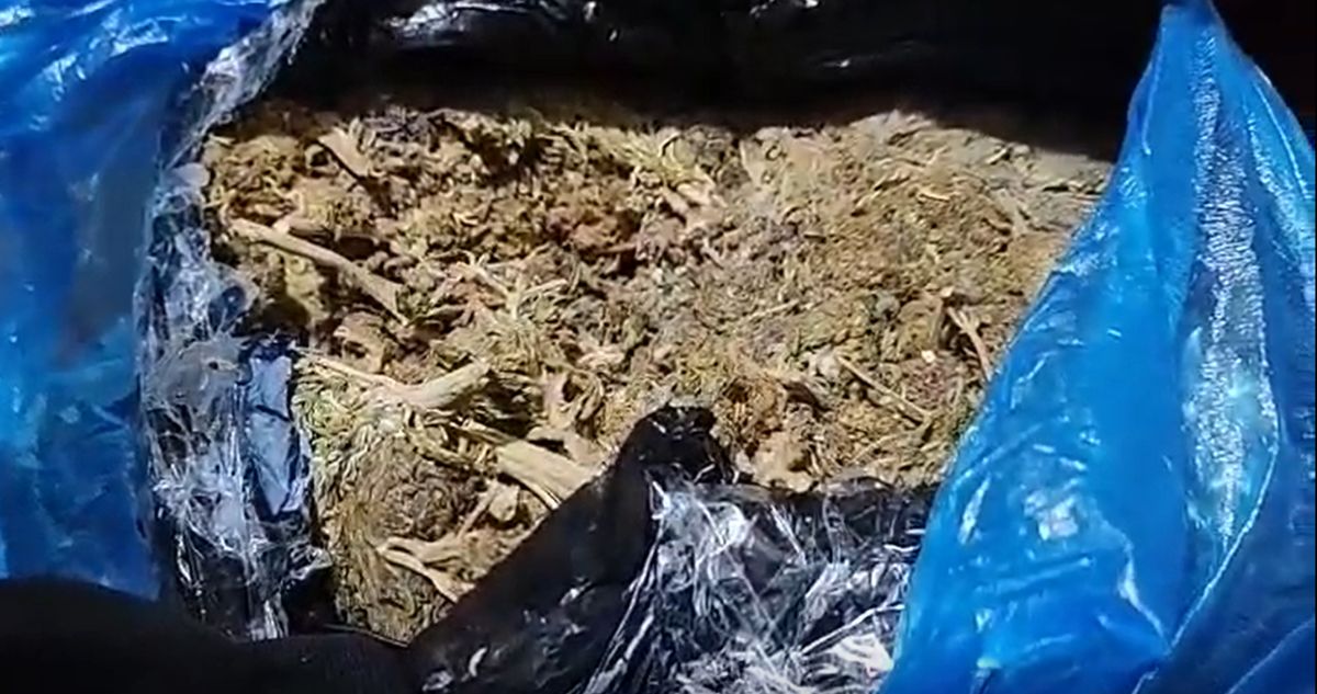 PDI detiene a 4 extranjeros por tráfico de drogas en la "Pequeña Caracas" de Estación Central