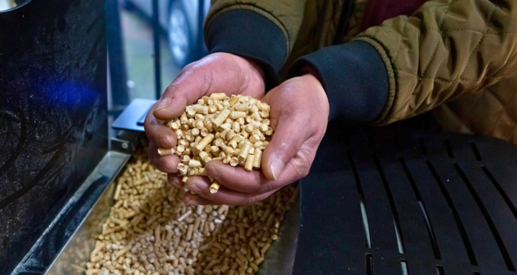 ¿Escasez de pellet en el sur? Qué sabemos hasta ahora sobre la disponibilidad de este combustible