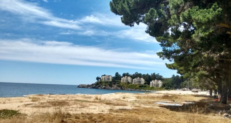 Proyecto habitacional y cierre de camino mantienen en alerta a vecinos de Pingueral, en Tomé