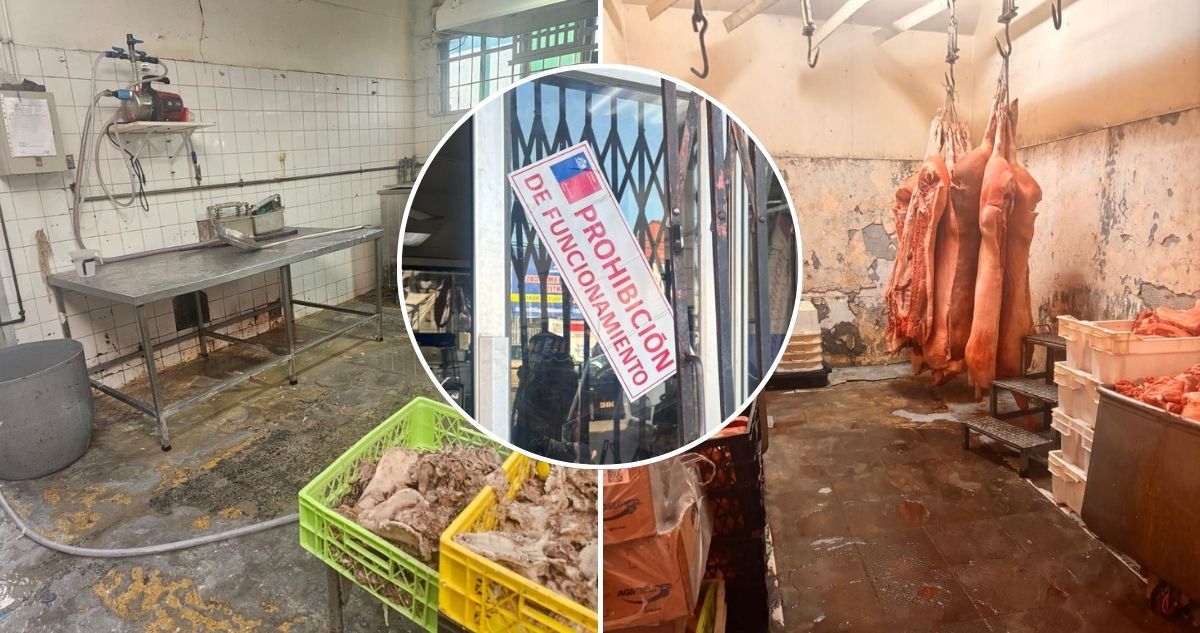 Prohíben funcionamiento de fábrica de cecinas en Osorno: fiscalización reveló infracciones sanitarias