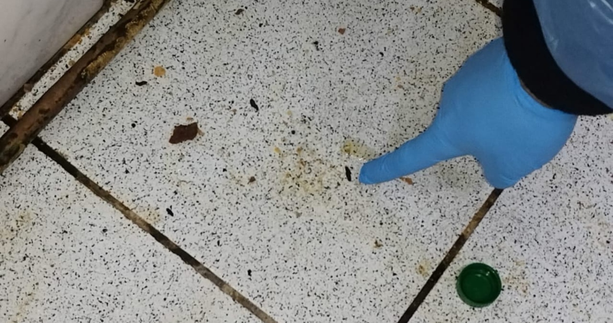 Prohíben funcionamiento de local de sushi en Osorno